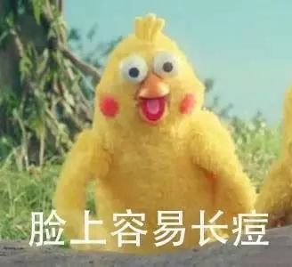  表情包鹦鹉兄弟,谁说成人的世界没有容易二字