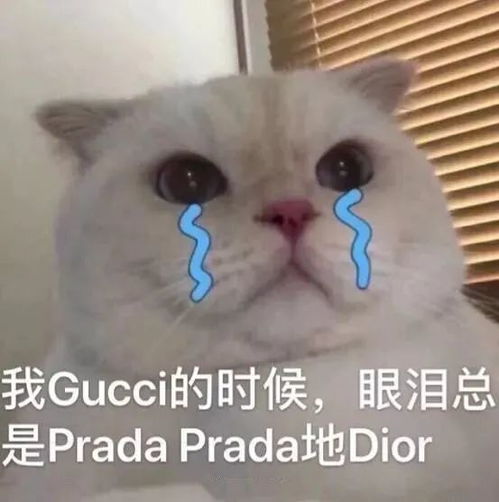  表达委屈的系列表情包