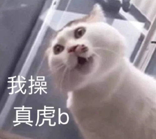  张雨绮袁巴元又开撕,这部家庭狗血剧啥时候能完结