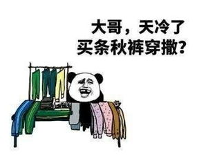  熊猫头表情包大哥,天冷了买条秋裤穿撒