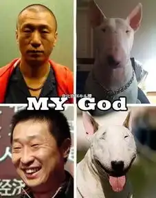 宋小宝薛之谦岳云鹏,极限挑战集齐了国内蛇精病 宋小宝薛之谦岳云鹏,极限挑战集齐了国内蛇精病