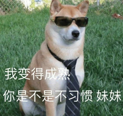  如何看待肖战ins账号凌晨两点被换黑头像