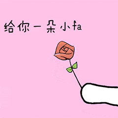  斗图必备表情包看到这朵花没丢掉也不给你