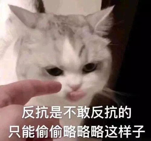  你的朋友圈有没有一个好友她总是频繁换头像换背景换签名你是怎么看待这个人的