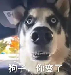  在一齐