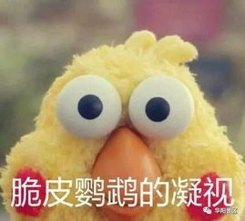 小鹦鹉表情包q版胡桃