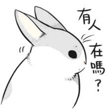 小灰兔可爱的表情包鲍鹏