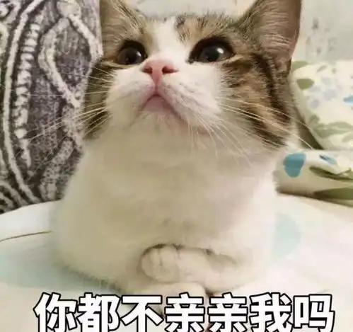  王一博太高冷了那是因为他把所有的温柔都给了她