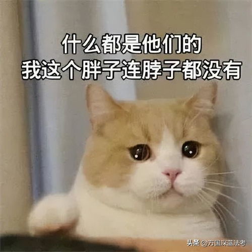  为了法考,你舍弃了什么看到第5个泪了