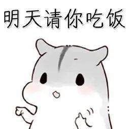  龙卡信用卡,享美食百味