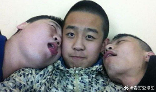 德云表情包 德云表情包