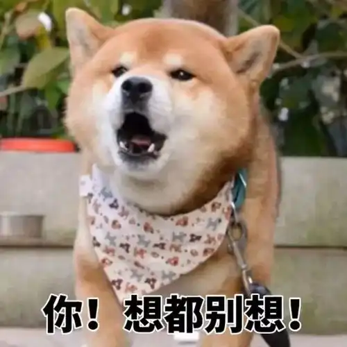  看完这个,以后别再说猫是液体做的了