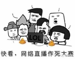  美食天下吃菜本领哪家强萌宠就属荷兰猪
