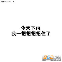  能把外国人逼疯的汉语语句图片汉语十级系列表情包下载乐游网游戏下载
