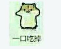  嗑瓜子的松鼠表情包