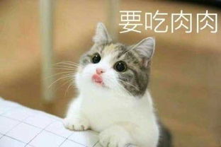 超开心表情包图片表情