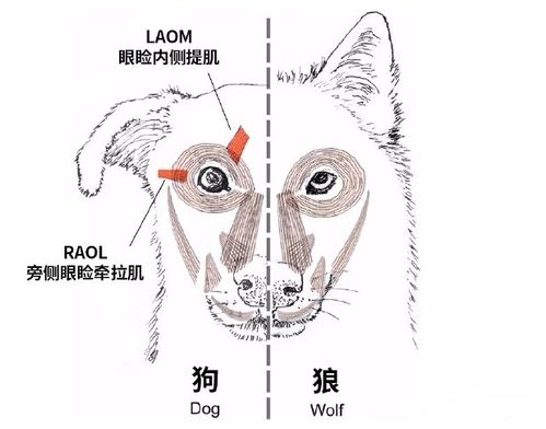  今日全宇宙最涨姿势的十张图