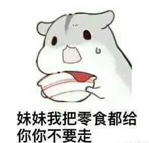  小仓鼠表情包系列妹妹