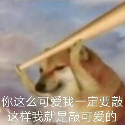 表情包更新沙雕表情包