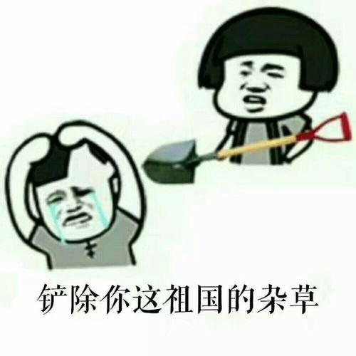  善用表情包,从此不再怕尬聊