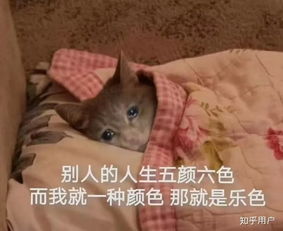 我感觉我抑郁了表情包冬