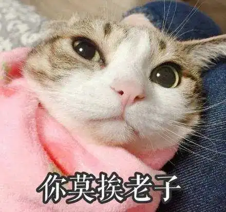 猫咪咬你一口再舔你一下的真实原因是知道真相的我眼泪掉下来 猫咪咬你一口再舔你一下的真实原因是知道真相的我眼泪掉下来