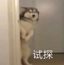  你身边都有哪些奇葩或沙雕的朋友