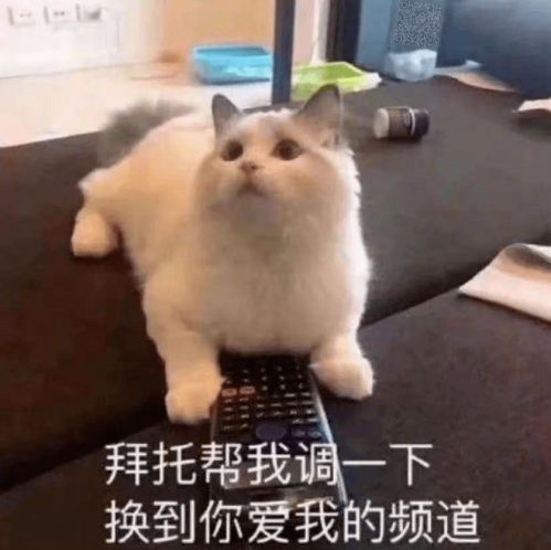  跨年晚会热搜又霸屏知名男艺人突然退出