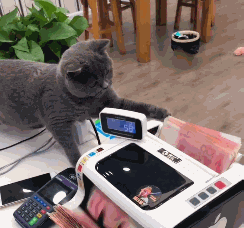 搞笑gif结婚真让人又期待又怕啊 搞笑gif结婚真让人又期待又怕啊