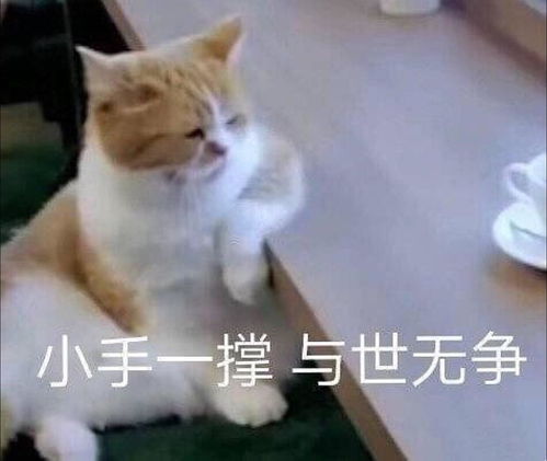  声明...