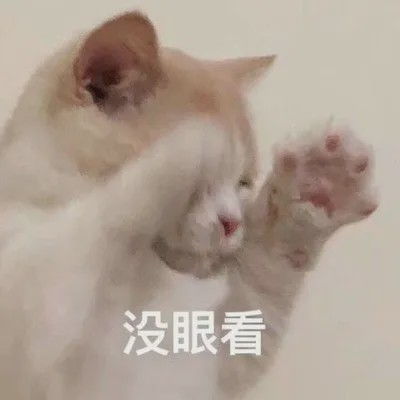  我不是家暴女,我只是养了只猫