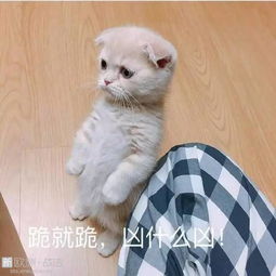  工作多无聊,你才能知道你的同事多有创造力