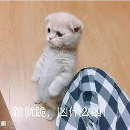 工作多无聊,你才能知道你的同事多有创造力 工作多无聊,你才能知道你的同事多有创造力