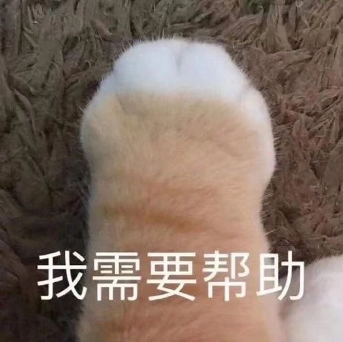  表情包沙雕表情包958期