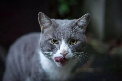 嘿重大出香水了 嘿重大出香水了