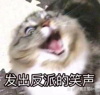  如何评价二硕新剧罗曼史是别册附录