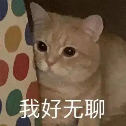 表情包猫狗鸭仓鼠动物沙雕系列 表情包猫狗鸭仓鼠动物沙雕系列