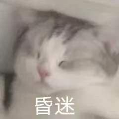  表情包我只是一个不想读书的废物