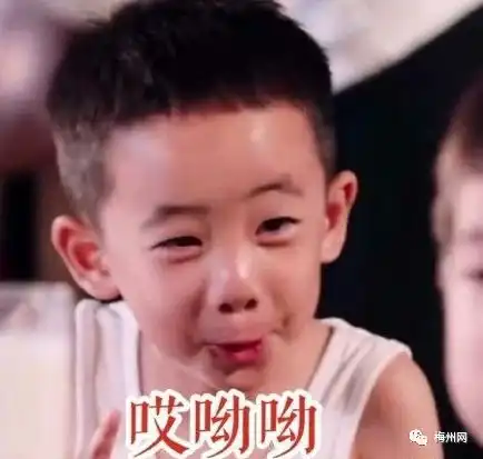 学位2350个梅城人期待已久的实验小学即将面世 学位2350个梅城人期待已久的实验小学即将面世