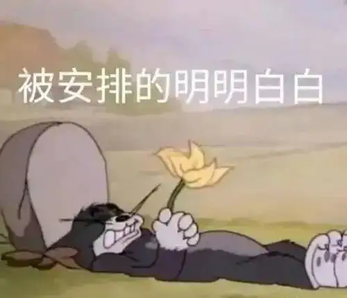 深度为何爱泼斯坦文件公布后国内媒体大v集体失声 深度为何爱泼斯坦文件公布后国内媒体大v集体失声