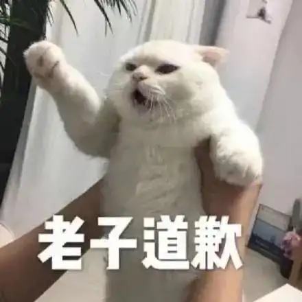  男朋友预热了这么久,姐什么时候官宣