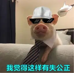  我觉得ok猪猪表情包中国有嘻哈我觉得可以表情包大全超清版腾牛下载
