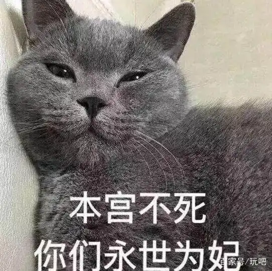 我有10000个怼人表情包,送你要不要 我有10000个怼人表情包,送你要不要