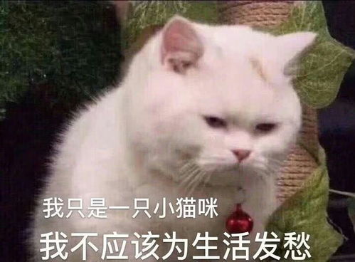  男朋友及其一伙兄弟在ktv玩游戏输了的要脱衣服,其中唯一女生输了最后也脱了上衣,我该不该提分手