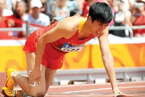 2004年,上海政府奖励刘翔150平豪宅,估值255万,如今值多少钱 2004年,上海政府奖励刘翔150平豪宅,估值255万,如今值多少钱