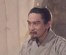  三国中最智慧的人是他不是郭嘉,也不是诸葛亮