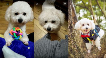  寻找17日凌晨在出租车上丢失女士钱包的主人1218