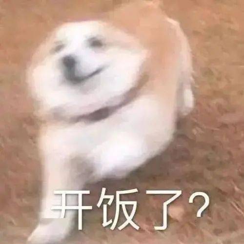 中国人爱种菜的原因找到了 中国人爱种菜的原因找到了