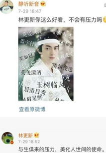 画圈圈表情包视频林更新