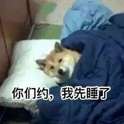  e句话看天下丨港版101要推出了,你会看么